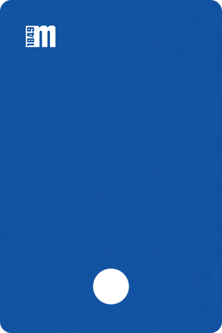 295405T