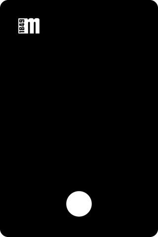295406T