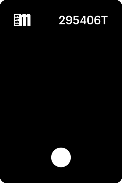 295406T