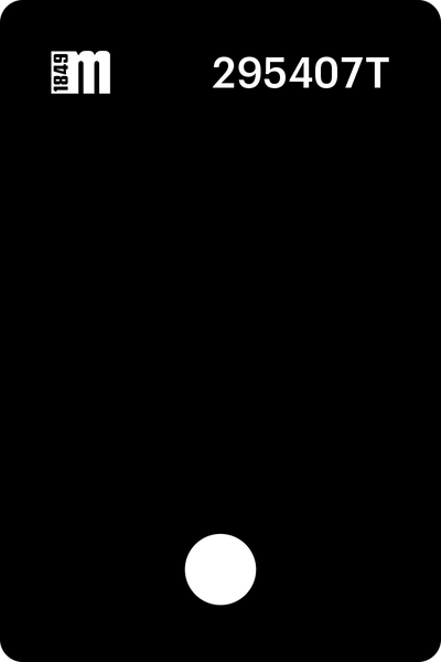 295407T