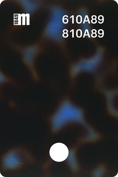 610A89