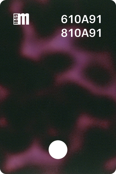 610A91