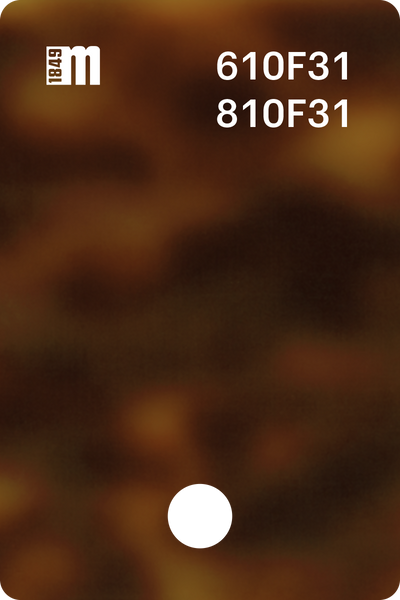 610F31