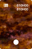 610H02