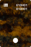 610H02
