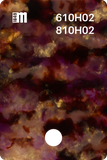 610H01