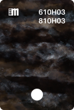 610H02