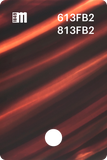 613FB0