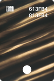 613FB0