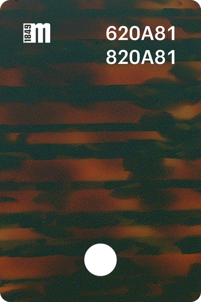 620A81