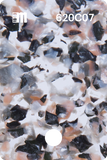 620C06
