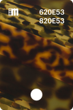 620E52