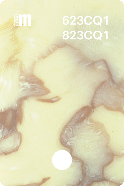 623CQ1 | Mazzucchelli 1849