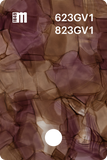 623GV2
