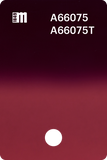 A66077