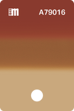 A79019