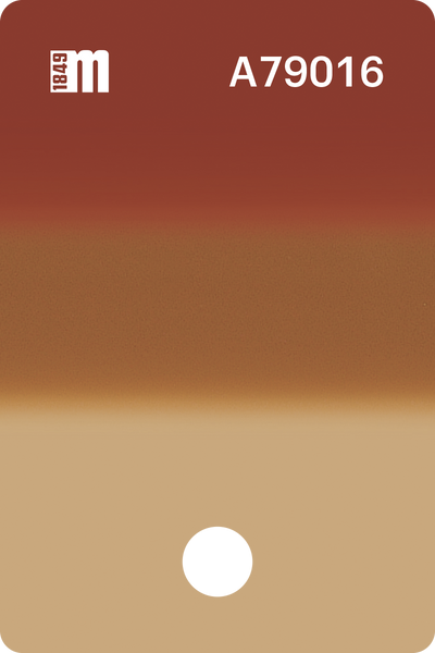 A79016