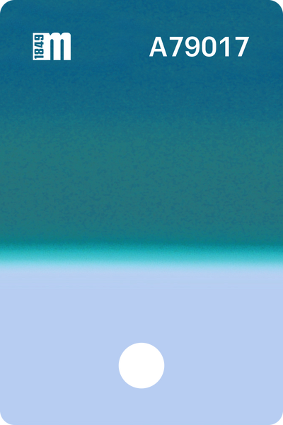 A79017