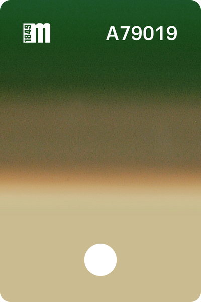A79019