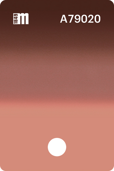A79020