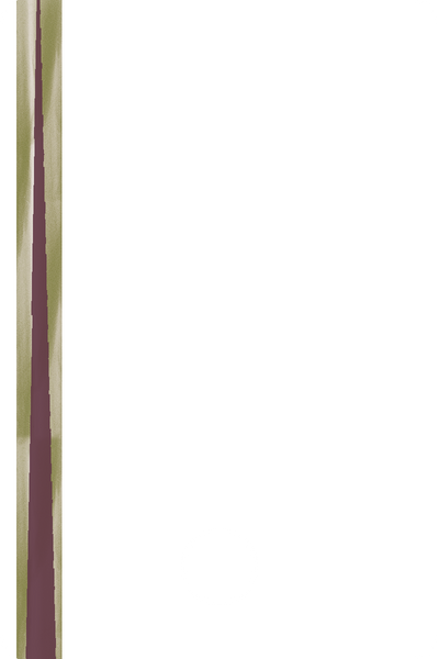 A87039