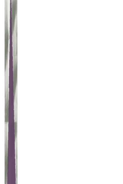 A87041