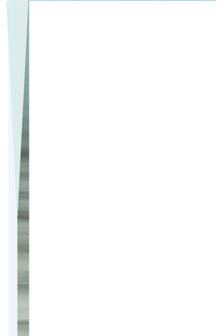 B49017PT