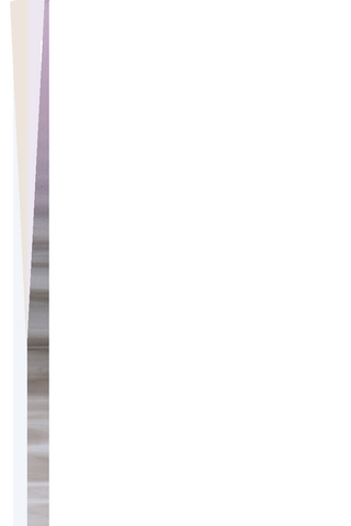 B49018PT