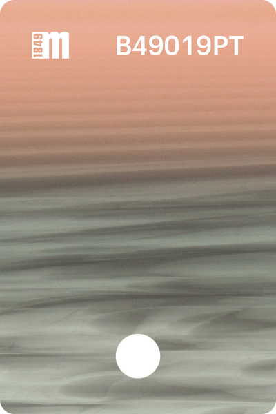 B49019PT