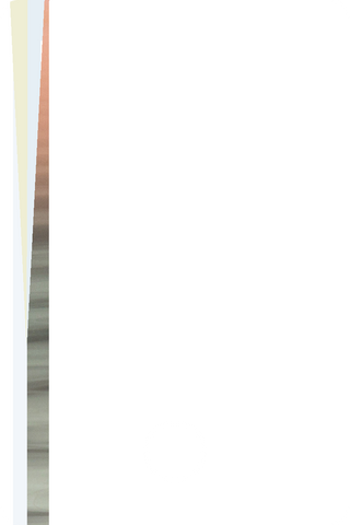 B49019PT