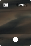 B92004