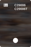 C29005