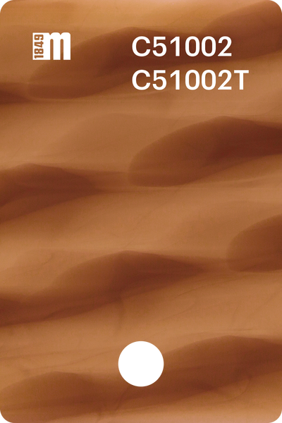 C51002 | Mazzucchelli 1849