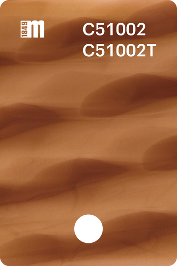 C51002