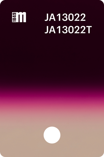 JA13022