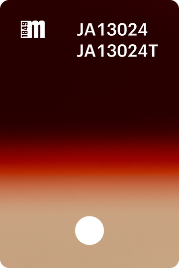 JA13024