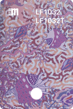 LF1033