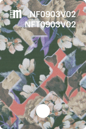 NF0903V02
