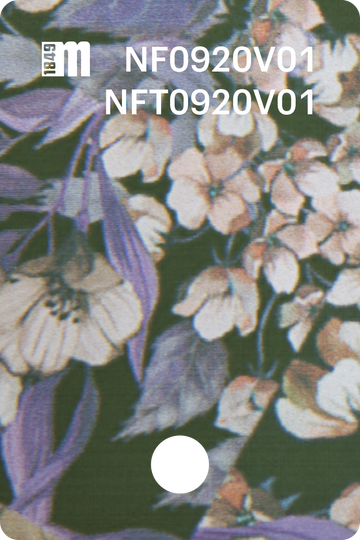 NF0920V01