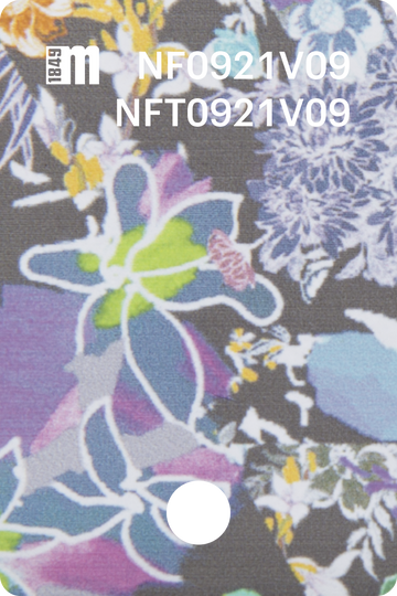 NF0921V09