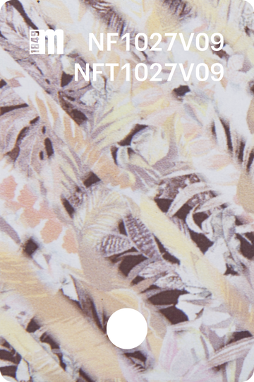 NF1027V09