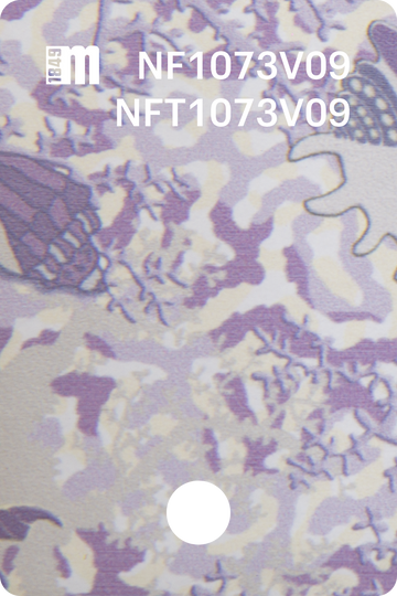 NF1073V09