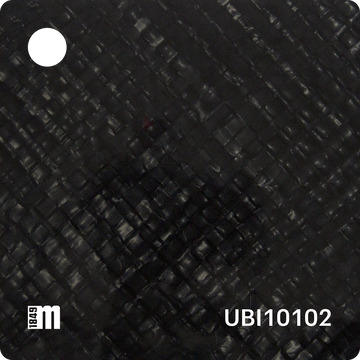 UBI10102