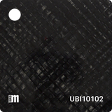 UBI10101