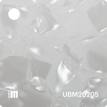 UBM20205